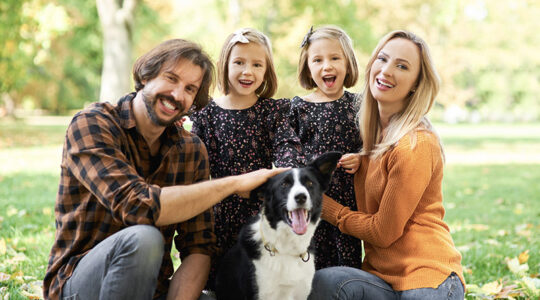 ¿El seguro de hogar cubre a tus mascotas?